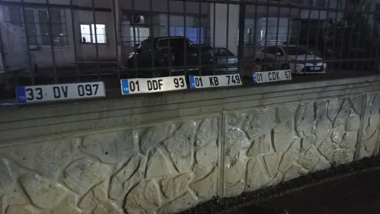 33 DV 097
