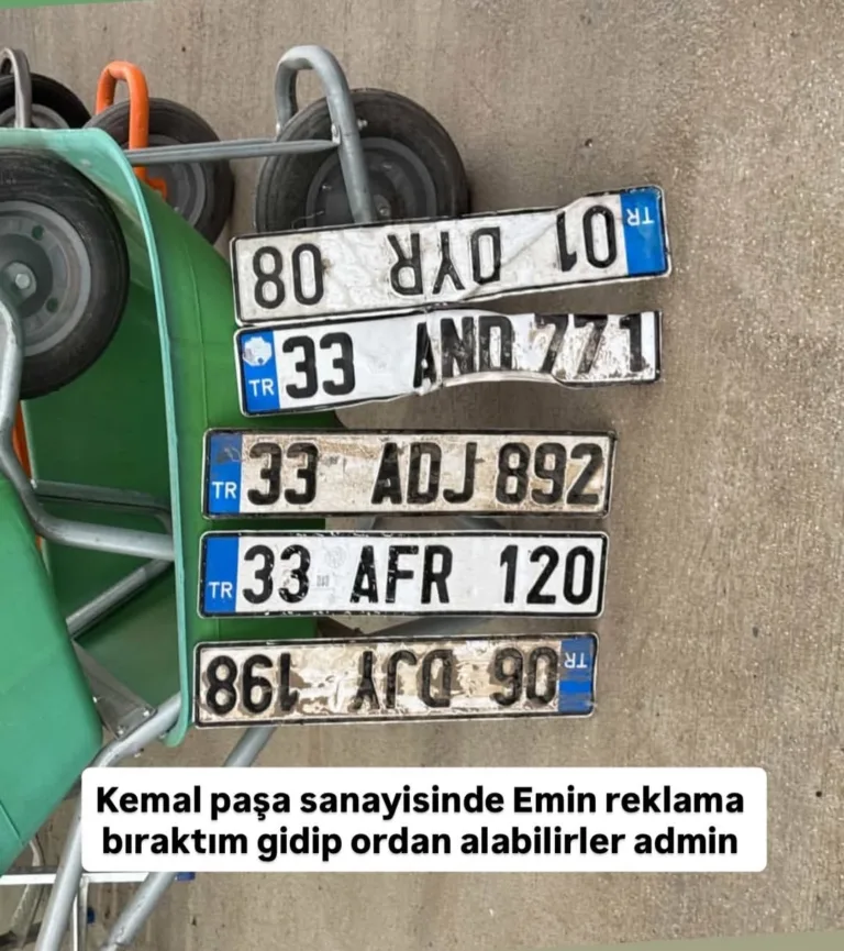 06 DJY 198