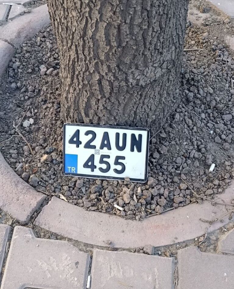 42 AUN 455