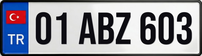01 ABZ 603
