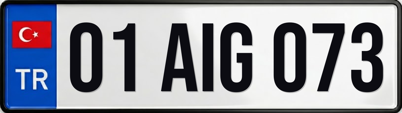 01 AIG 073