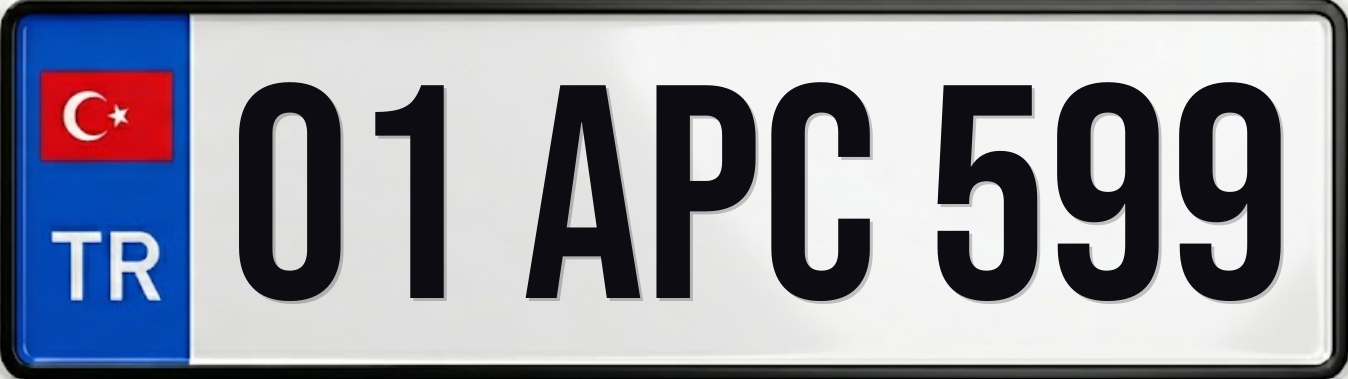 01 APC 599