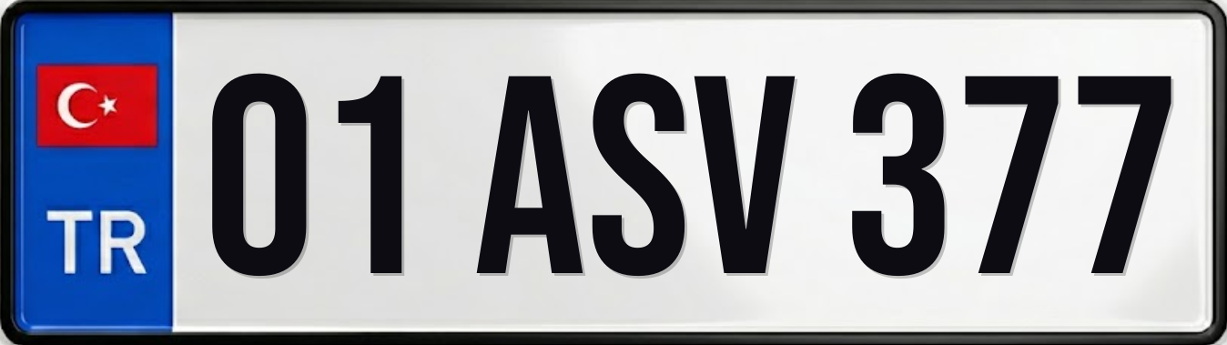 01 ASV 377
