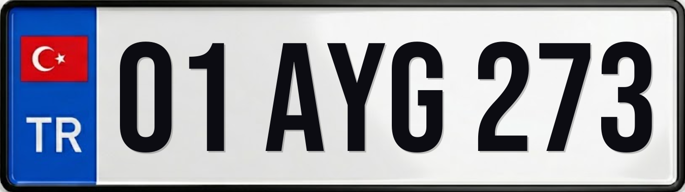 01 AYG 273