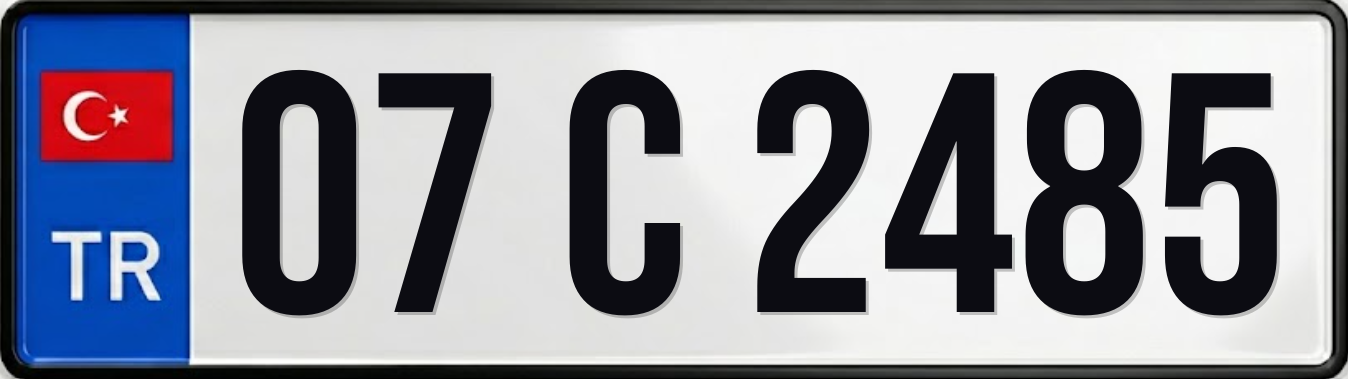 07 C 2485