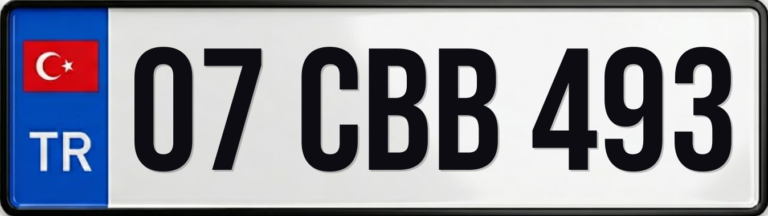 07 CBB 493