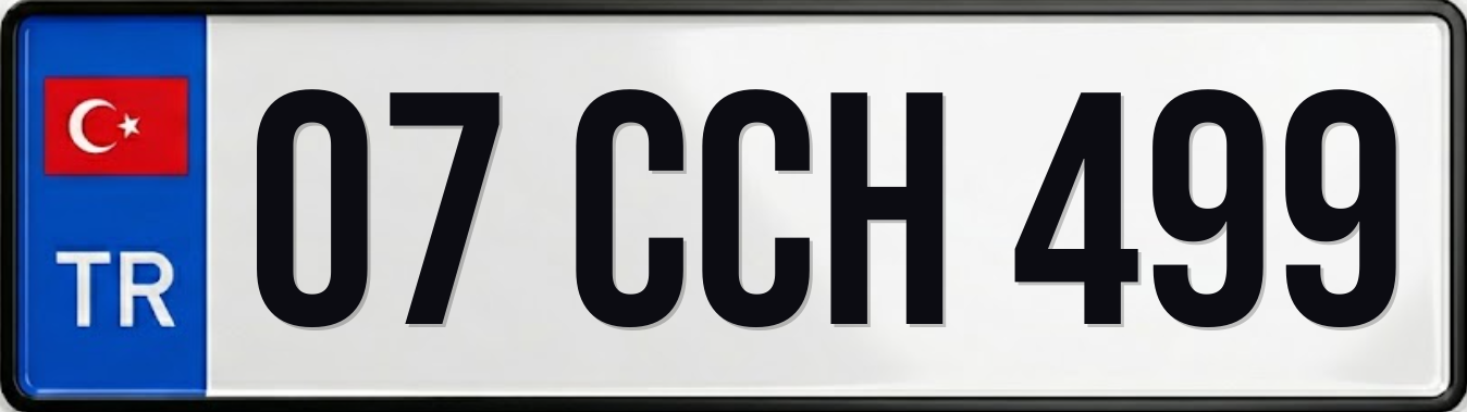 07 CCH 499