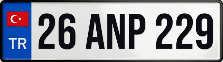 26 ANP 229