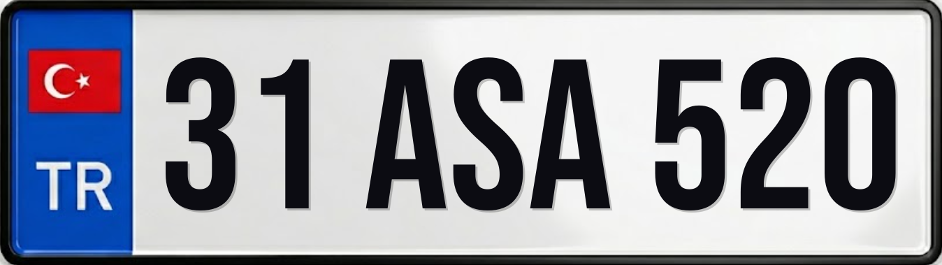 31 ASA 520