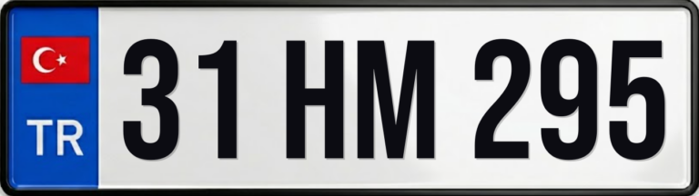 31 HM 295