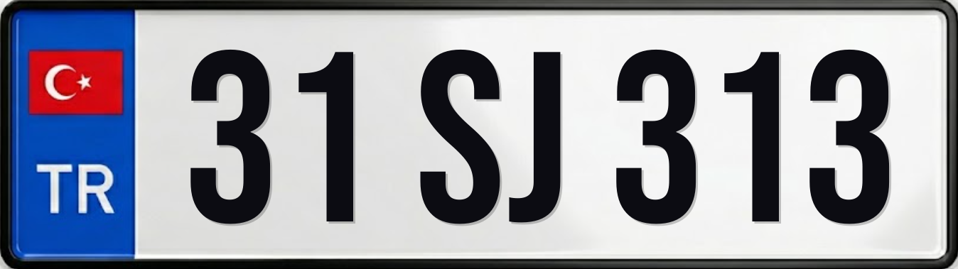 31 SJ 313