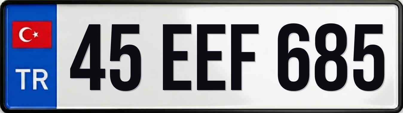 45 EEF 685