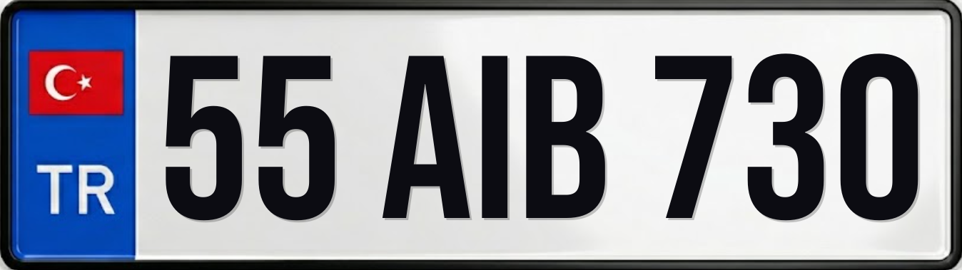 55 AIB 730