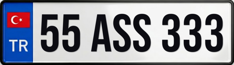 55 ASS 333