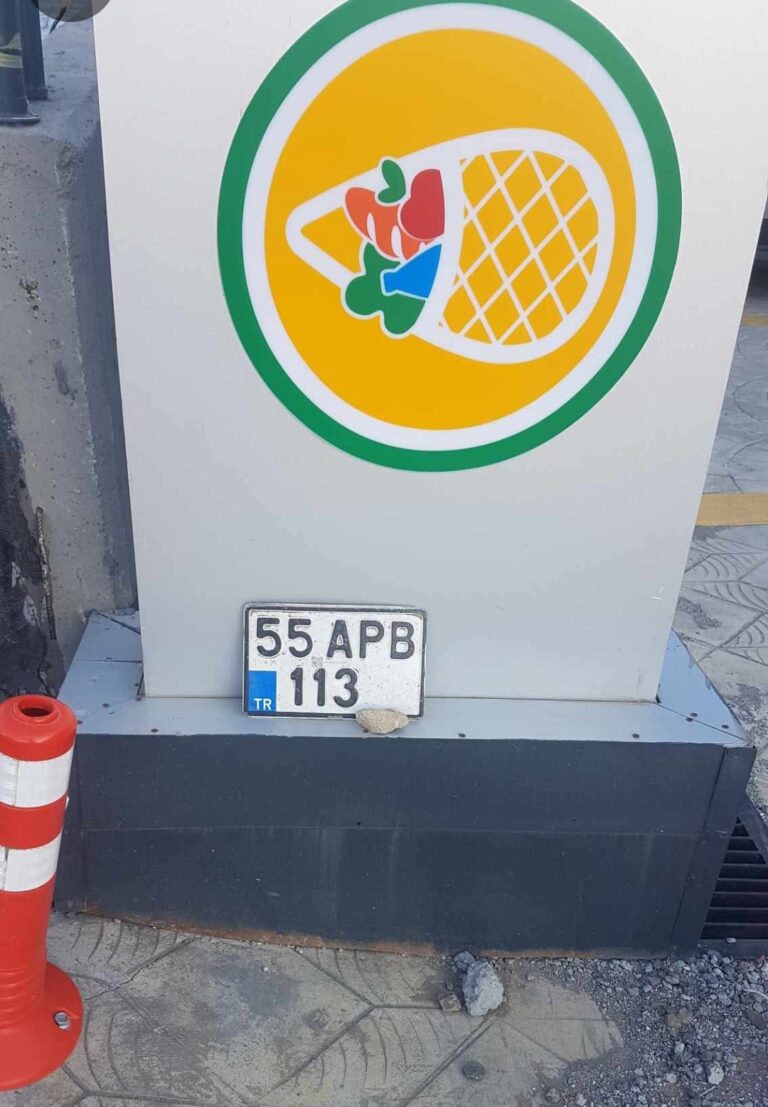 55 APB 113