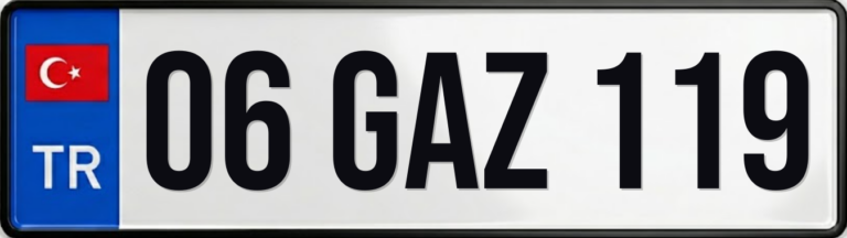 06 GAZ 119