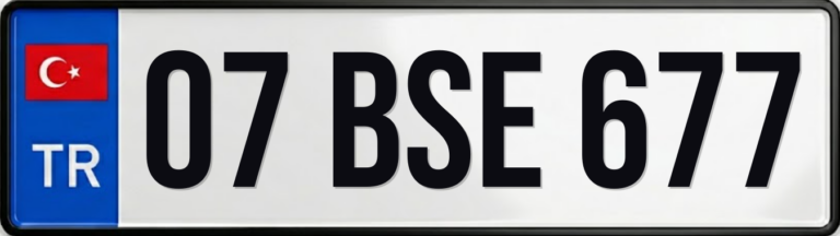 07 BSE 677