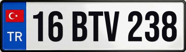 16 BTV 238