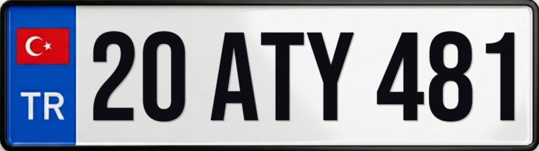 20 ATY 481