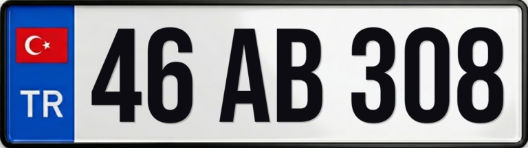 46 AB 308