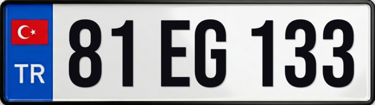 81 EG 133