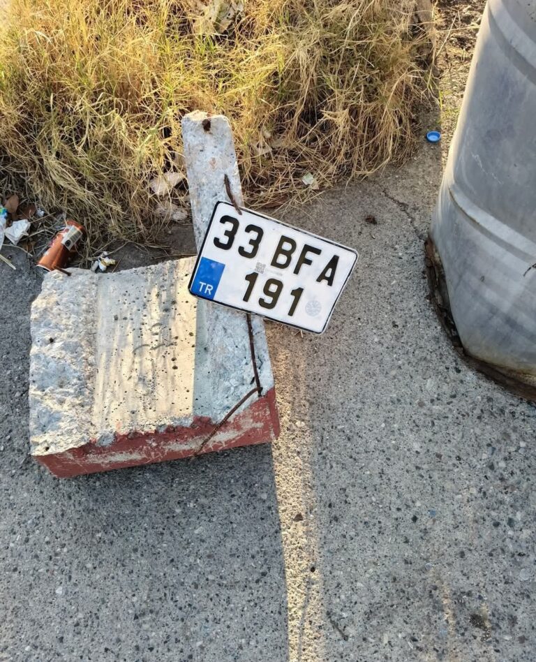 33 BFA 191
