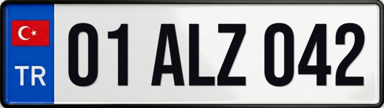01 ALZ 042