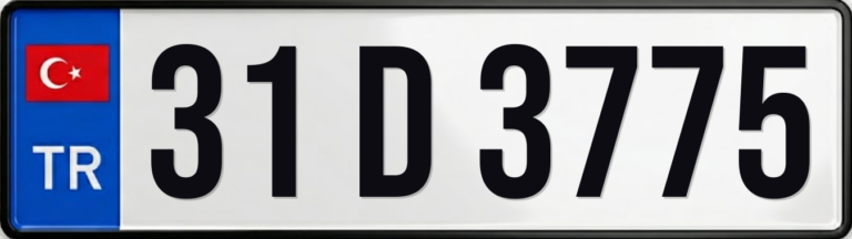 31 D 3775