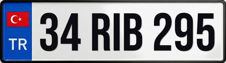 34 RIB 295