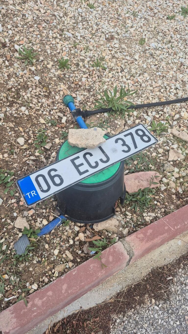 06 ECJ 378