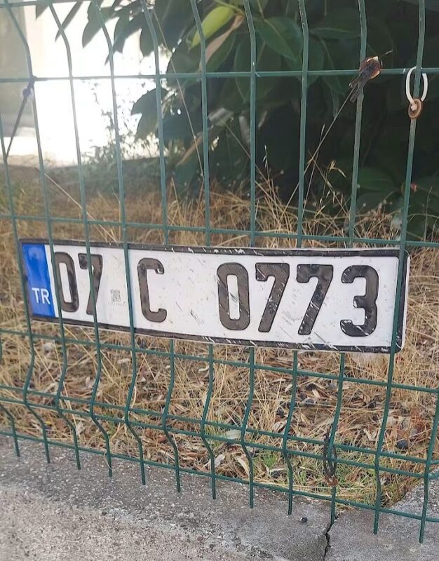 07 C 0773