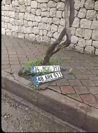 34 MOV 313