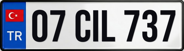 07 CIL 737