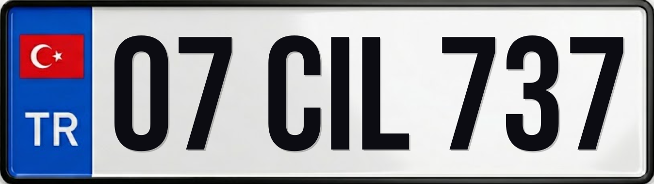 07 CIL 737