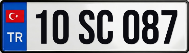10 SC 087