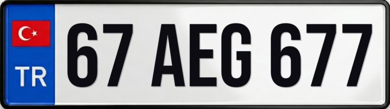 67 AEG 677