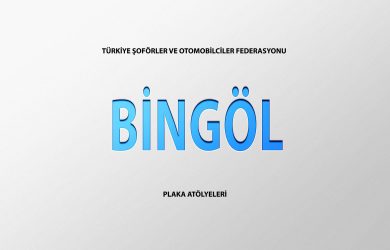 BİNGÖL TAKSİCİLER KAM. KAMYN. NAK. VE NAKLİYAT KOM. ESNAF ODASI