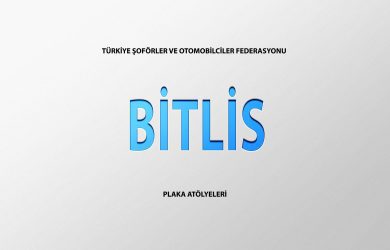 BİTLİS TAKSİCİLER KAM. KAMYN. NAK. VE NAKLİYAT KOM. ESNAF ODASI